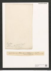 Nitzschia sigma etc... (de-Toni-Nr.: Genus 47, Species 2099) Zeichnungen Sammlung Grunow (NHMW-BOT-W0372100)